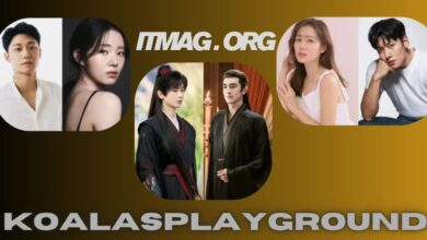 koalasplayground